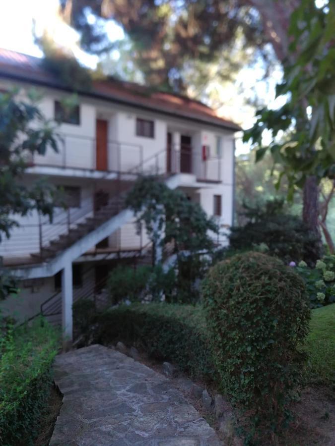 El Mirador De Bacha Apartment San Martin de Valdeiglesias Exterior photo